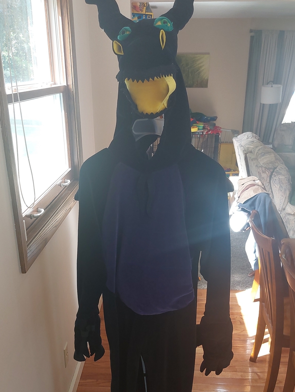 Maleficent Dragon Costume